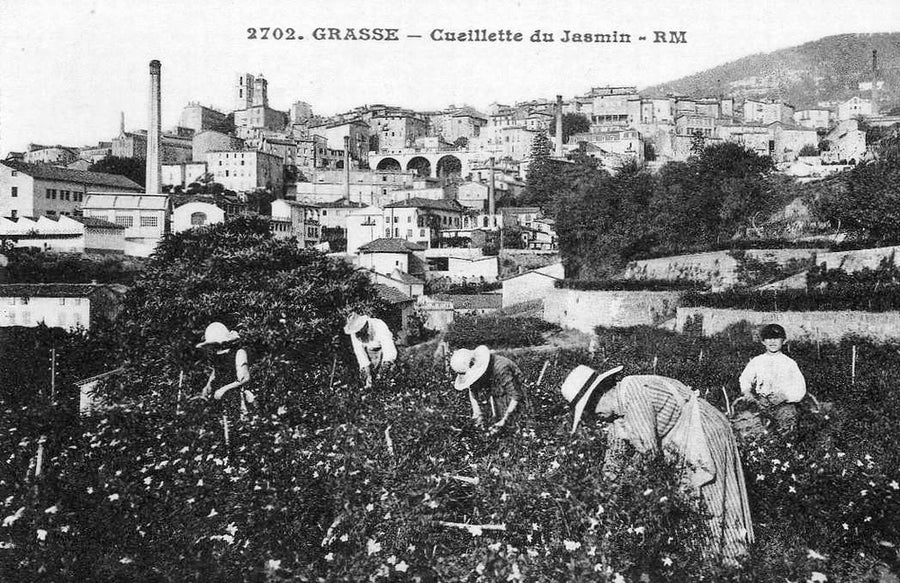 Histoire Aromasud